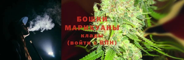крисы Зеленодольск
