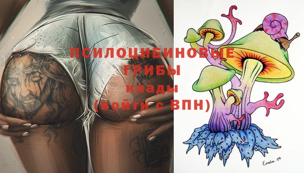 крисы Зерноград