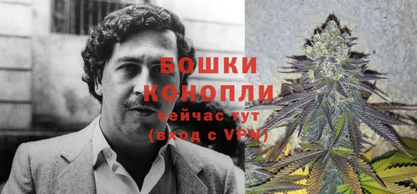 крисы Зеленодольск