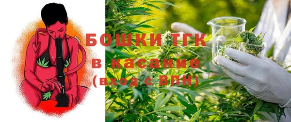 крисы Зеленодольск
