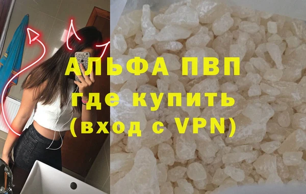 крисы Зерноград