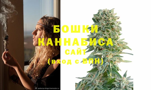 крисы Зерноград