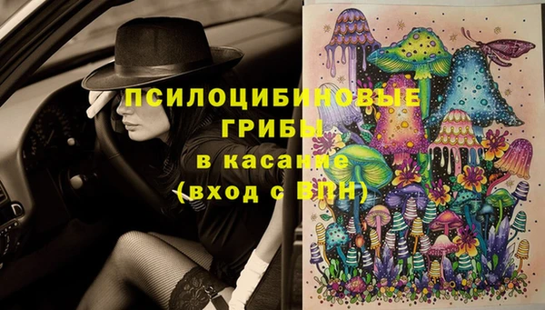 крисы Зерноград