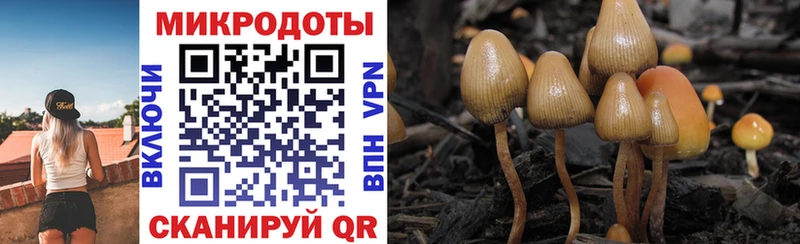 Псилоцибиновые грибы Psilocybine cubensis  где можно купить наркотик  Кинель 
