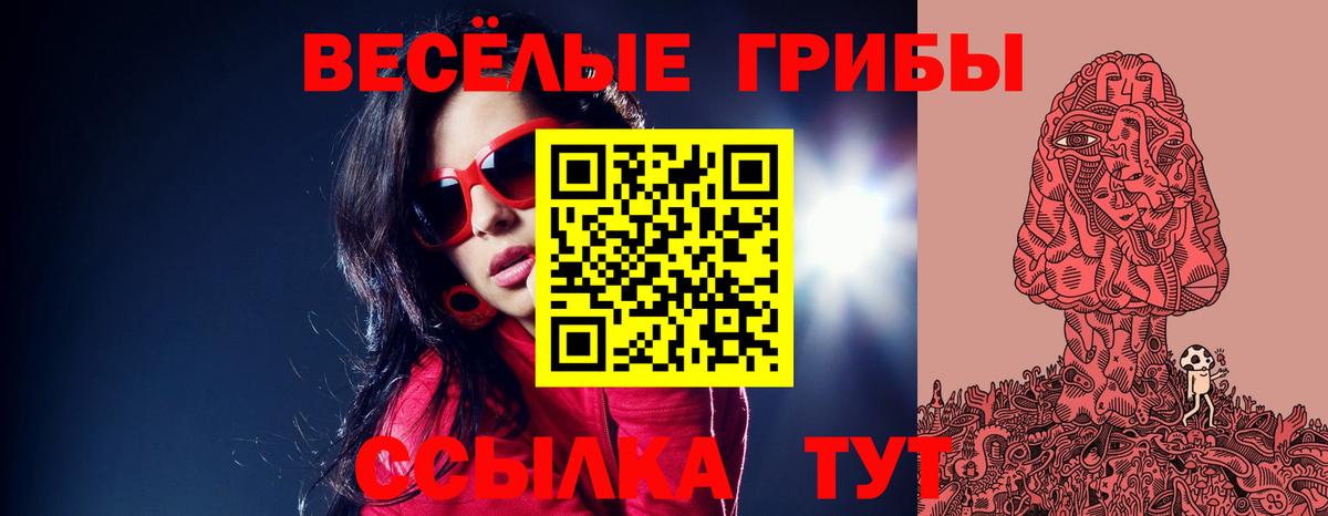 Галлюциногенные грибы GOLDEN TEACHER  Вход с VPN  Кинель  Галлюциногенные грибы Magic Shrooms 