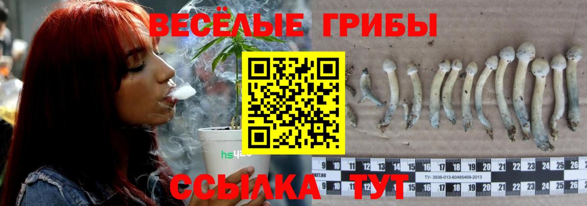 Псилоцибиновые грибы ЛСД Кинель